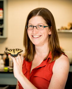 Dr. Emilie Snell-Rood smiles and holds up her hand to show off a black and yellow butterfly with blue spots at the base of its wings.