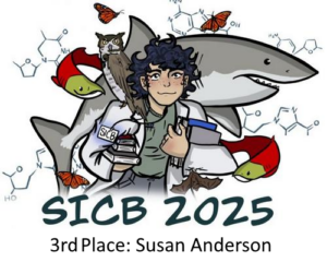 3rd2025